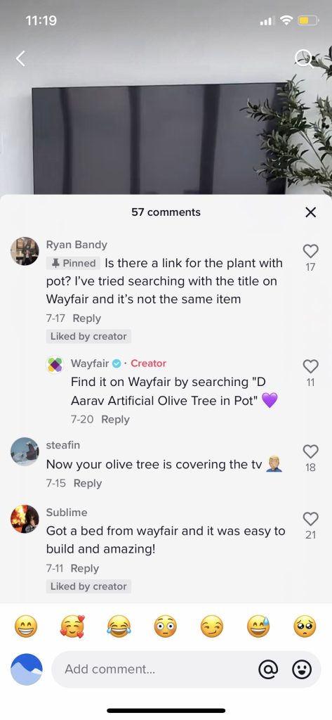 pinned comments on TIkTok